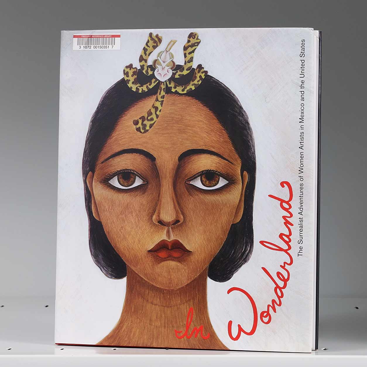 Book cover on a shelf featuring an artwork detail of a stylized woman with short brown hair and an abstract object on her head