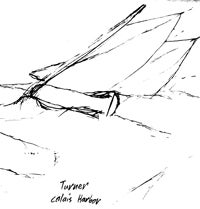 Student sketch of a sail boat in the ocean