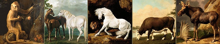 George Stubbs (1724 - 1806): A Celebration