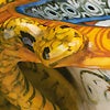 detail of a snake head