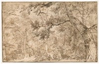 View in a Wood