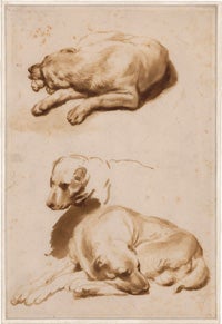 Studies of a Dog Lying Down