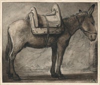 Standing Donkey with a Saddle