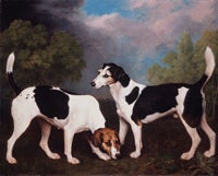 A Couple of Foxhounds, 1792, Oil on canvas, Tate, London. Purchased with assistance from the Friends of the Tate Gallery 1973