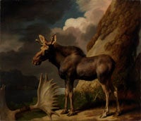 The Duke of Richmond's First Bull Moose, 1770, Oil on canvas, Hunterian Museum and Art Gallery, University of Glasgow