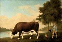 The Lincolnshire Ox, 1790, Oil on panel, Walker Art Gallery, National Museums Liverpool