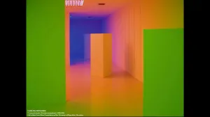 Link to video of Mari Carmen Ramírez lecture