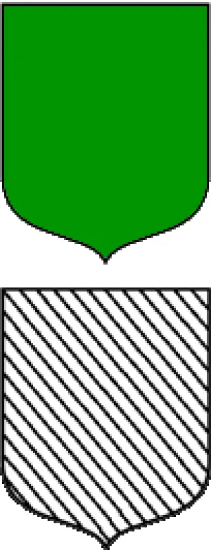 Green coat of arms represented by descending diagonal black and white stripes