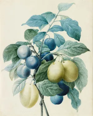 green and purple fruit on branch with leaves