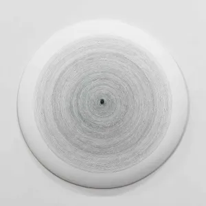 white ceramic disk painted with thin, gray concentric circles and a gray fingerprint at center