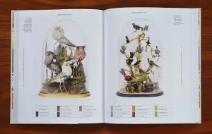 Book open to a spread with birds under bell jars and swatches of their colors