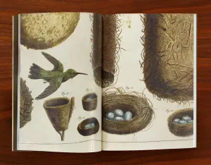 Book open to a spread with an artwork of a flying green bird and nests, some of which hold blue eggs