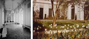 Museum Reception Hall opposite image of a courtyard garden with white tulips, trees, and a lawn