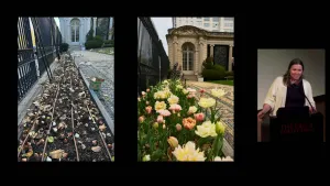links to video entitled Maeve Turner: In the Garden