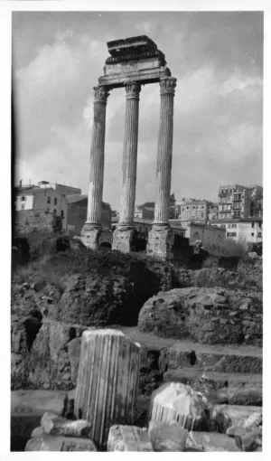 black and white photograph of ruins of roman columns and buildings in background